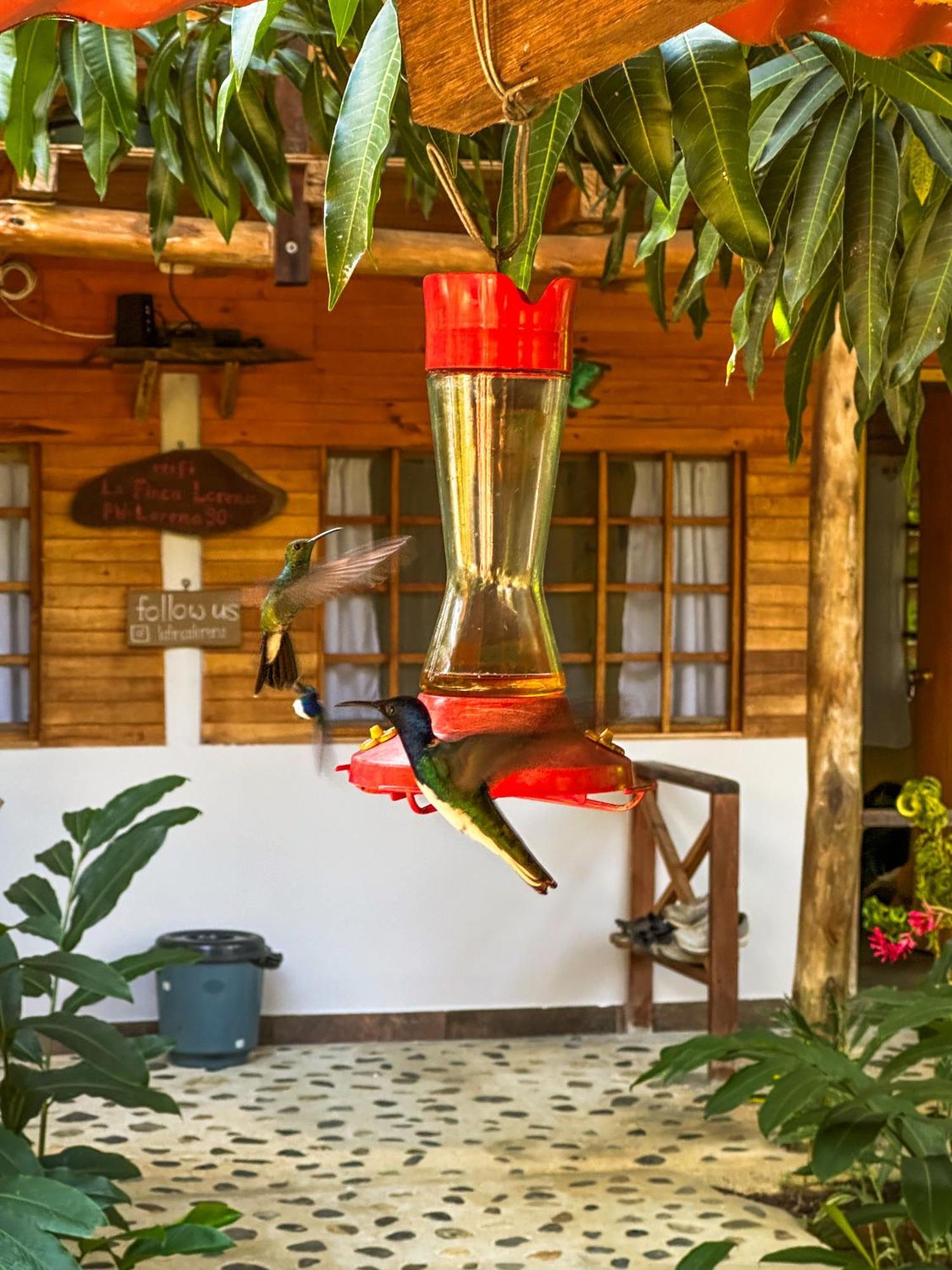 La Finca Lorena Tayrona Canaveral  Exterior photo